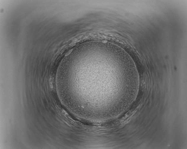 X0000064741490200602171653