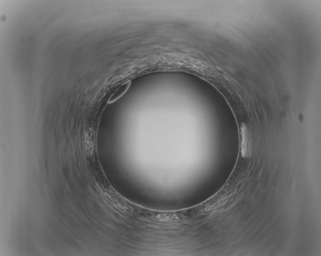 X0000064741491200602171653