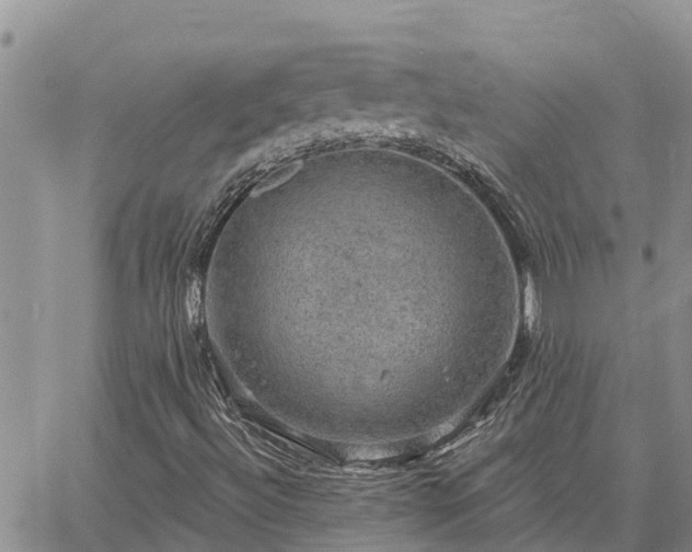 X0000064741492200602171653