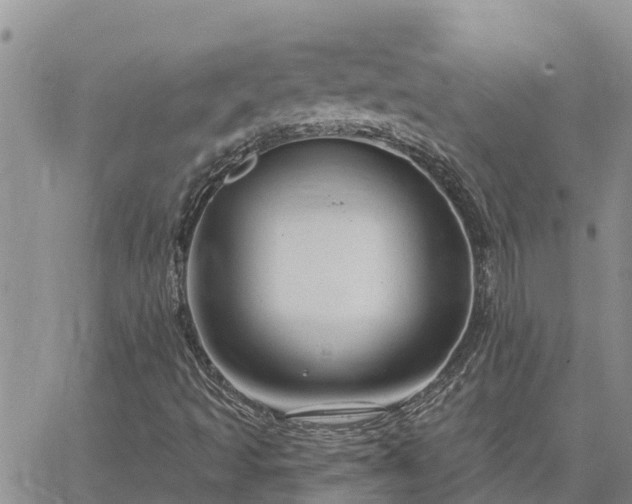 X0000064741493200602171653