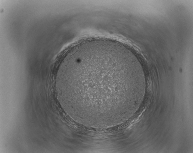 X0000064741494200602171653