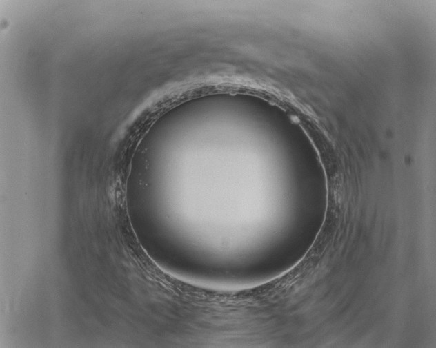 X0000064741495200602171653