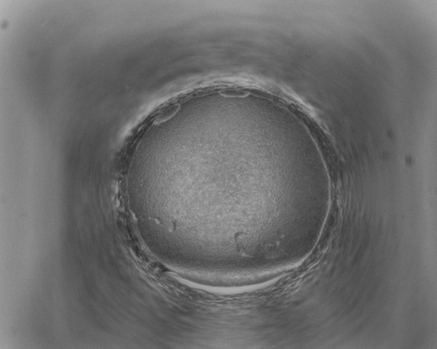 X0000064741496200602171653