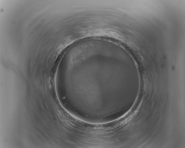 X0000064741497200602171653