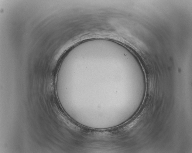 X0000064741498200602171654