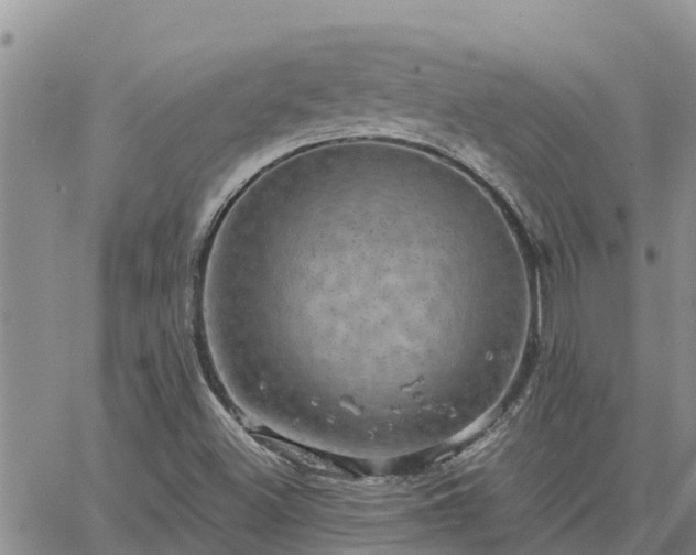 X0000064741500200602171654