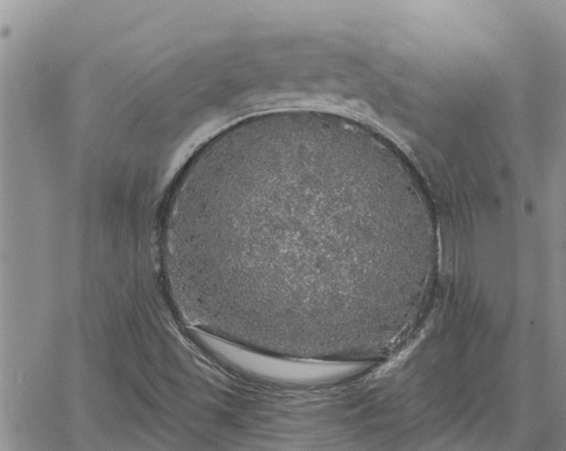 X0000064741501200602171654