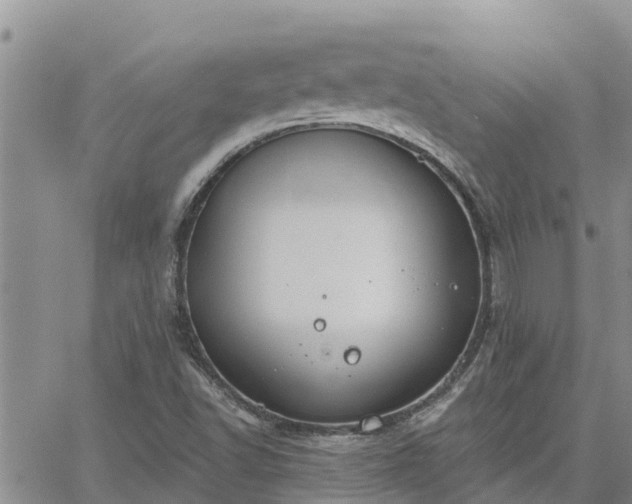 X0000064741502200602171654