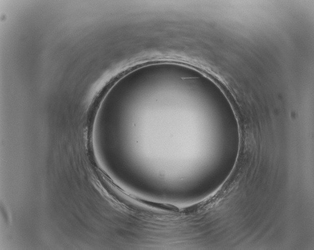 X0000064741503200602171654