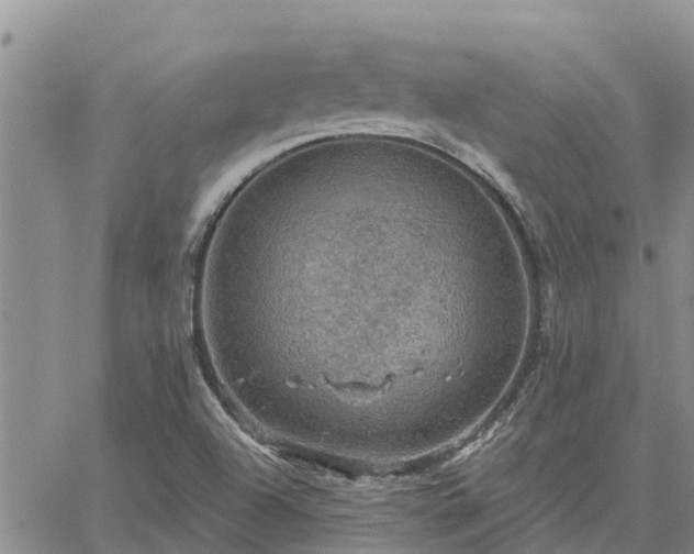 X0000064741504200602171654