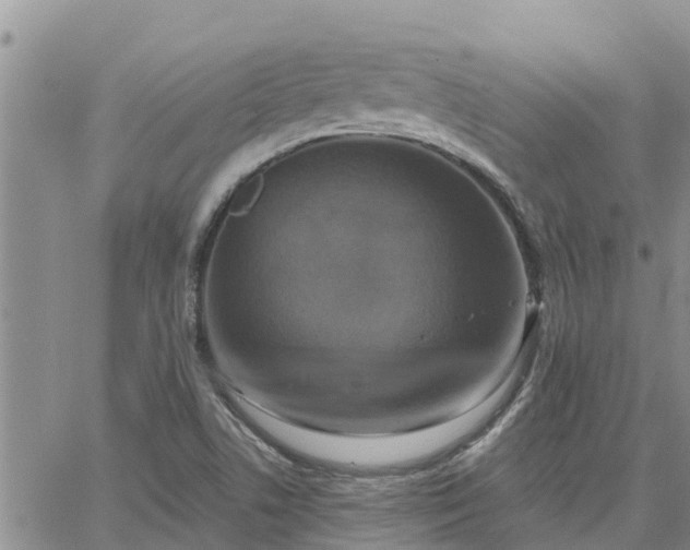 X0000064741506200602171654