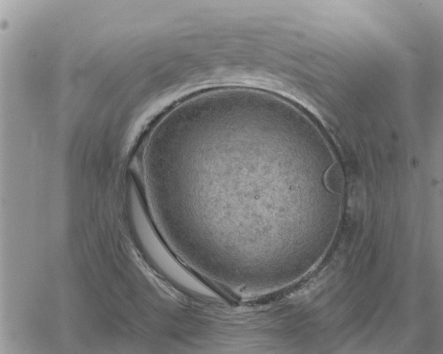 X0000064741507200602171654