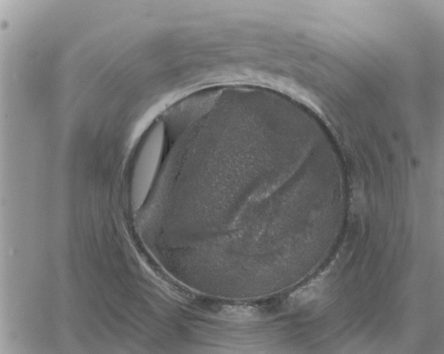 X0000064741509200602171654