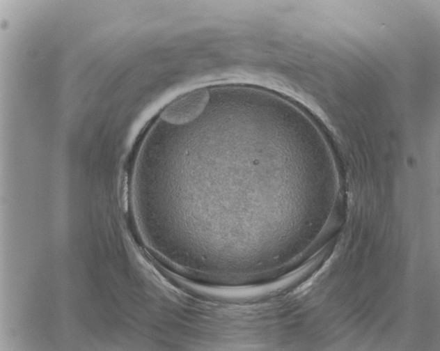 X0000064741510200602171654