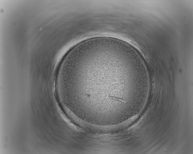 X0000064741511200602171654