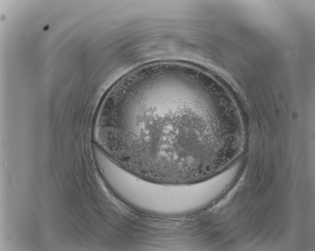 X0000064741513200602171654