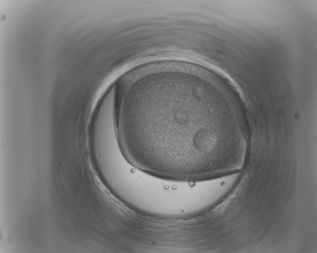 X0000064741514200602171654