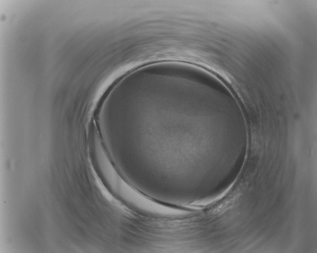 X0000064741515200602171654