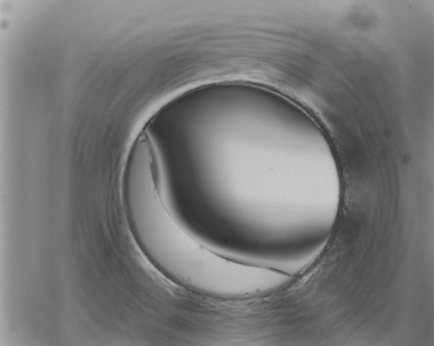 X0000064741516200602171654