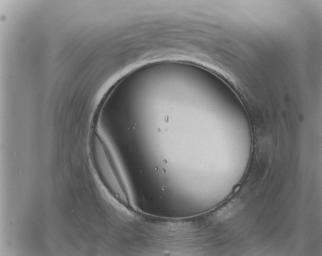 X0000064741518200602171654