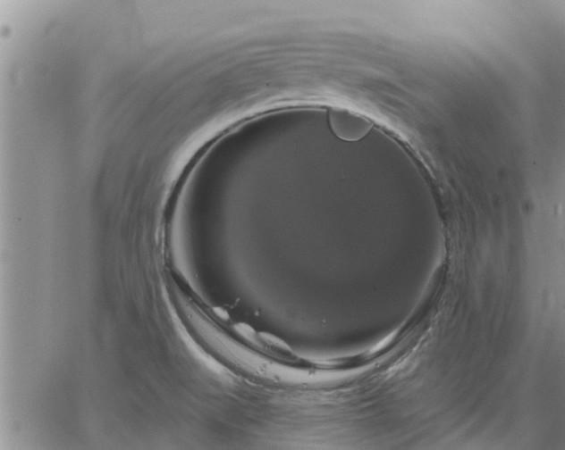 X0000064741519200602171654