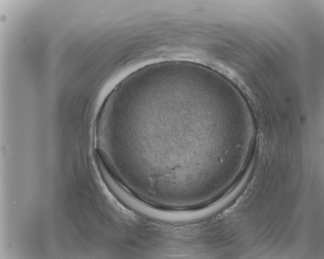 X0000064741520200602171654