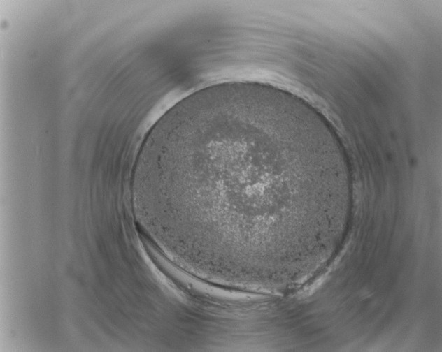 X0000064741521200602171654