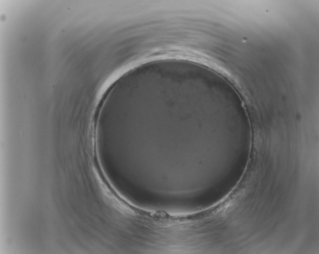 X0000064741522200602171654