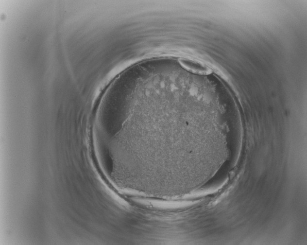 X0000064741525200602171654