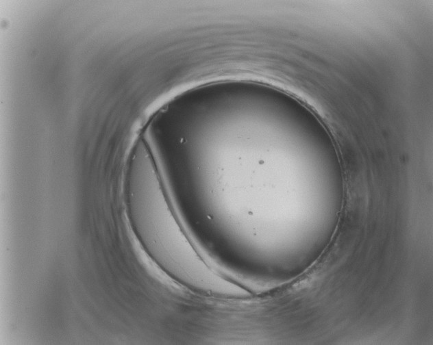 X0000064741526200602171654