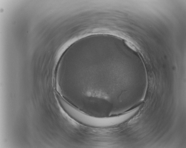 X0000064741527200602171654