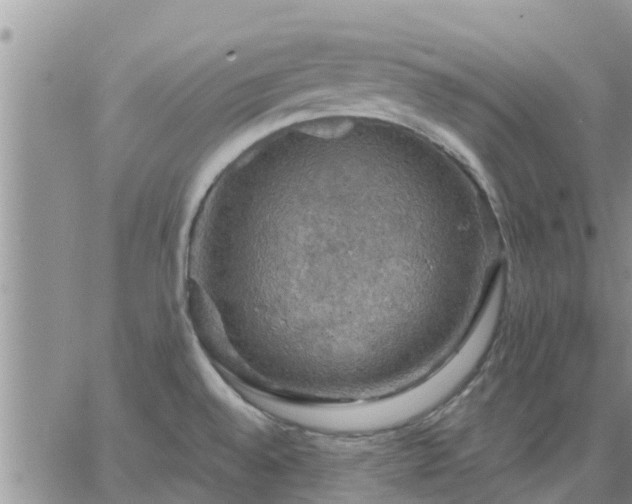 X0000064741528200602171654