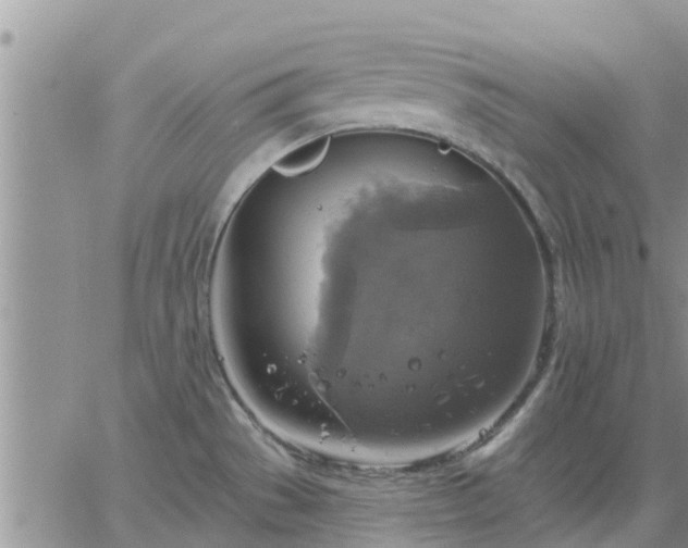 X0000064741529200602171654