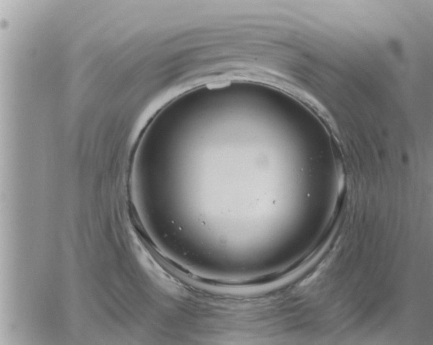 X0000064741530200602171654