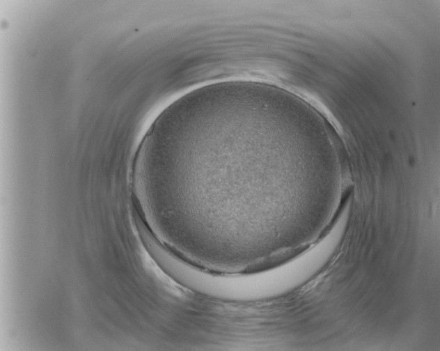 X0000064741532200602171654