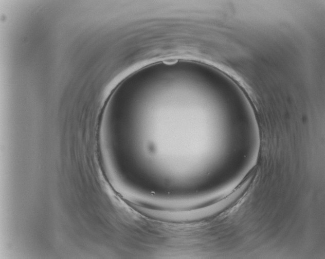 X0000064741534200602171654