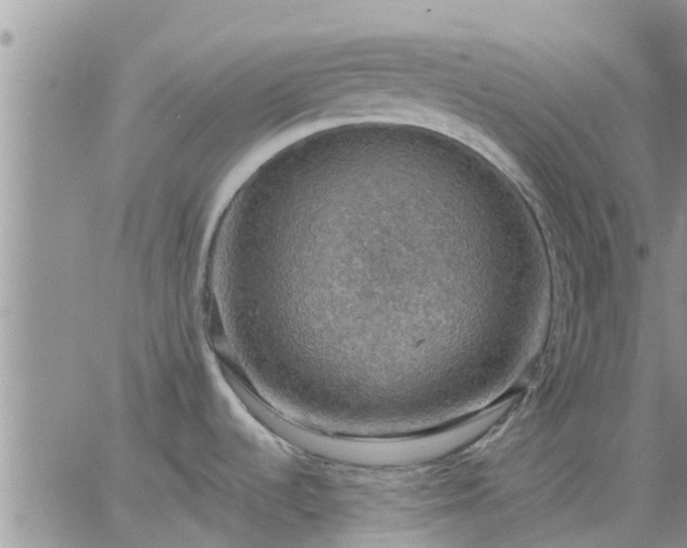 X0000064741536200602171654