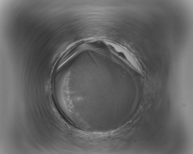 X0000064740002200602241815