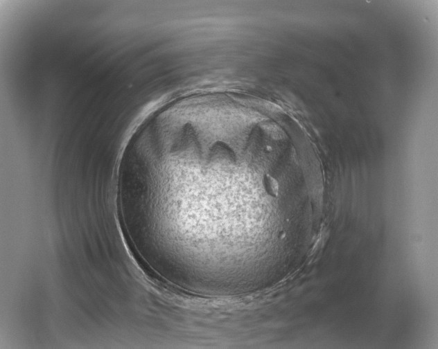 X0000064740003200602241815