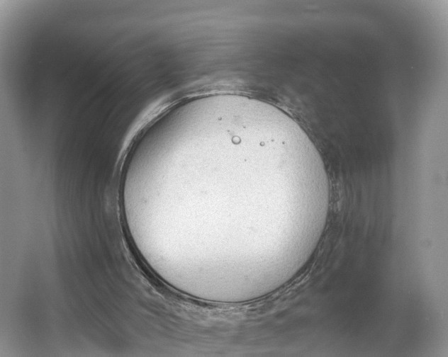 X0000064740004200602241815