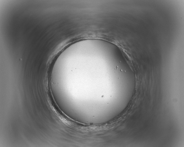 X0000064740005200602241815