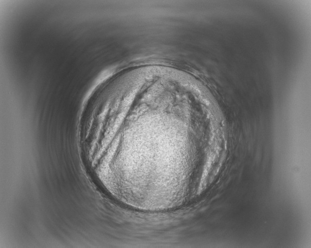 X0000064740006200602241815