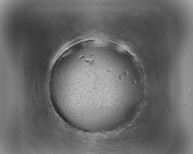 X0000064740007200602241815