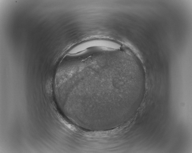 X0000064740009200602241815