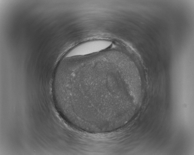 X0000064740010200602241815