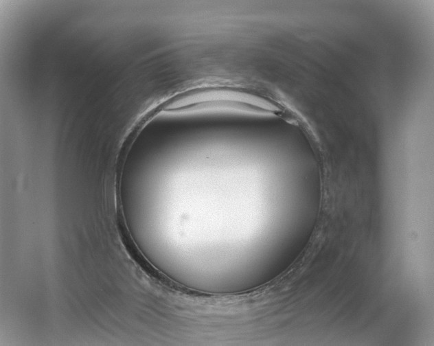 X0000064740011200602241815