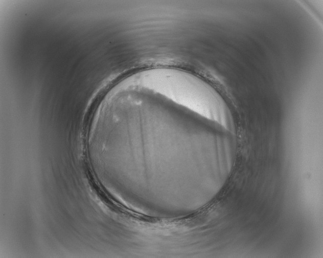 X0000064740012200602241815