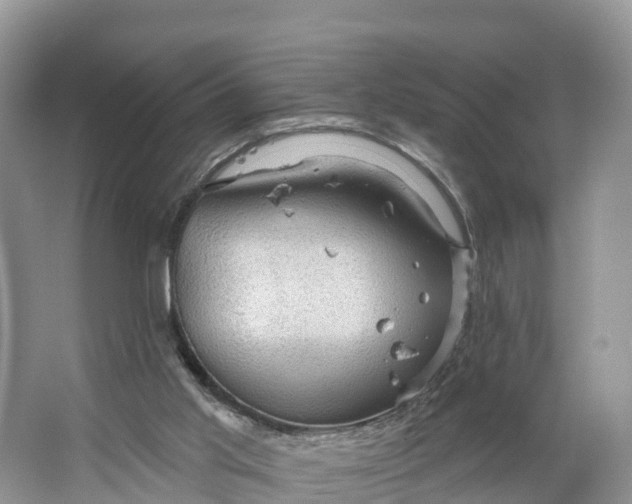 X0000064740013200602241815