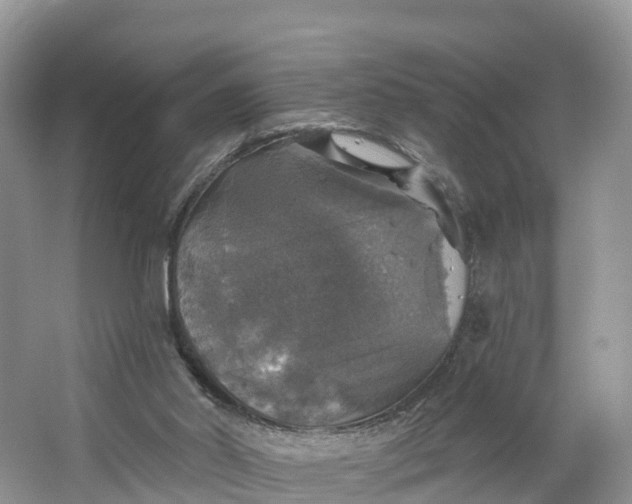 X0000064740014200602241815