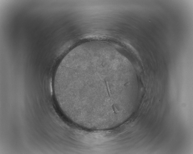 X0000064740020200602241815